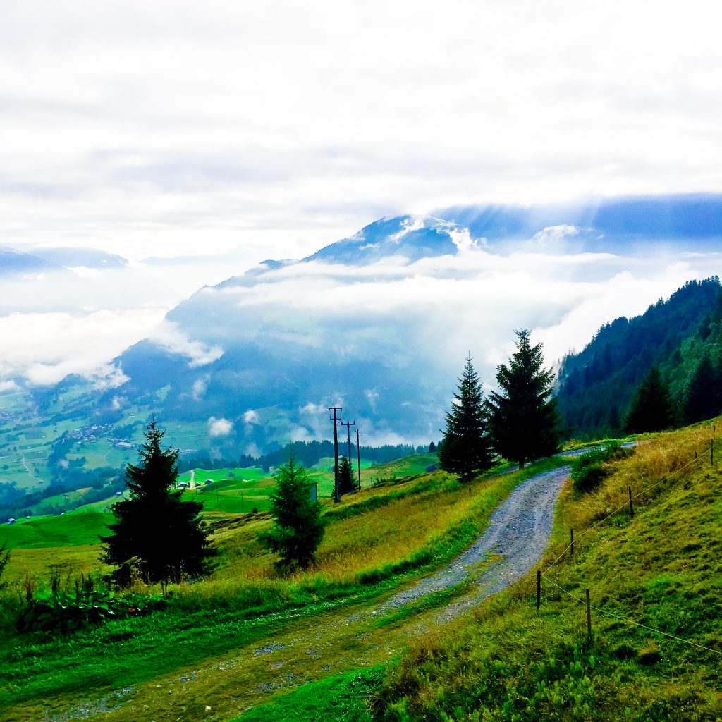 287162BC-A28B-47A3-9C17-A54CEDBB3644